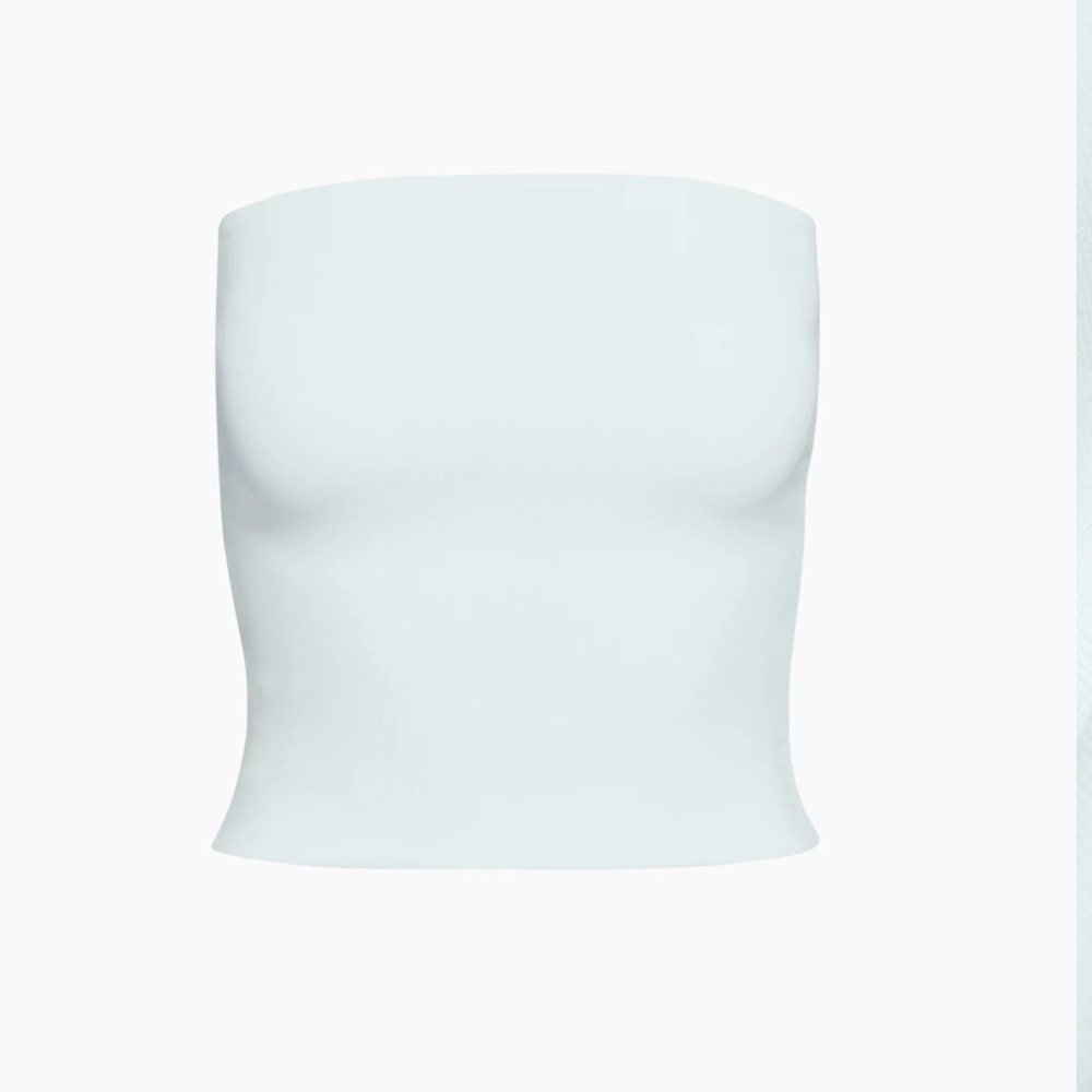Babaton Aritzia tube top